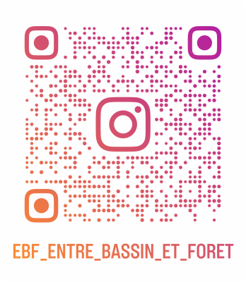 Ebf entre bassin et foret qr